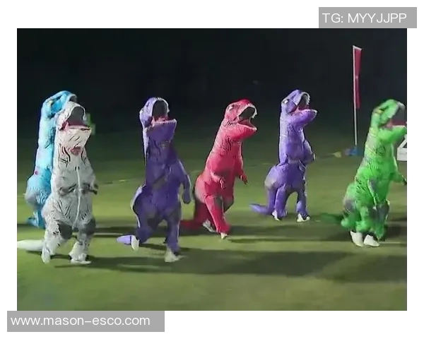 张娜亲述极限运动的挑战与乐趣分享技巧与心得体会