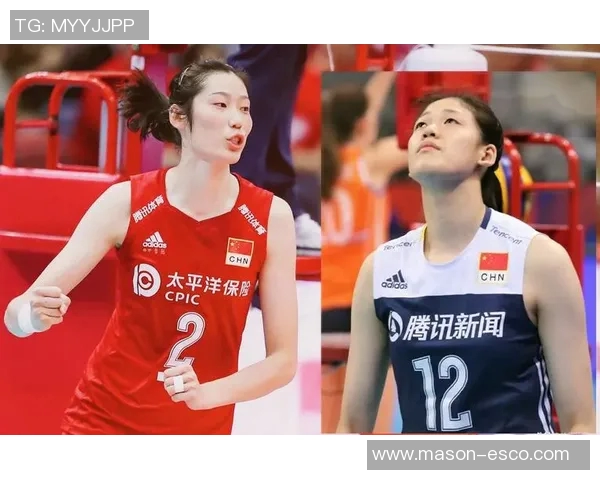 北京排球队技术实力强劲荣登排球技术排行榜第二名